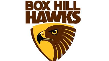 Box Hill Hawks Football Club