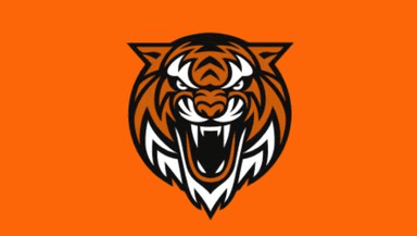 Brisbane Tigers