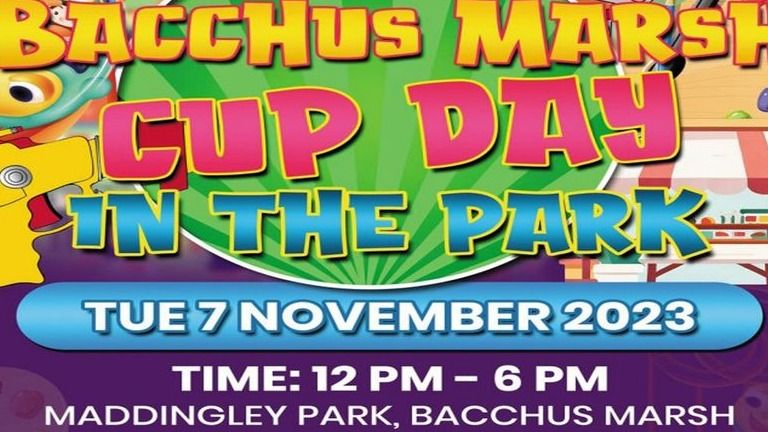 Bacchus Marsh Cup day in the park