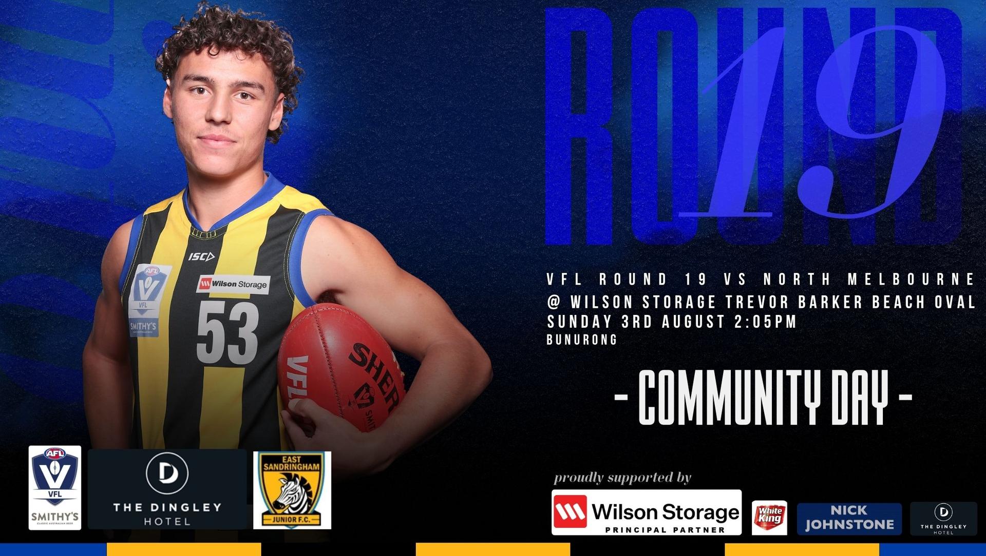 Dingley Hotel VFL Round 19 - Sandringham v North Melbourne