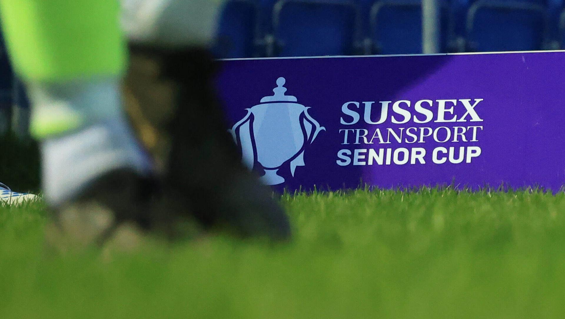 Sussex Transport Senior Cup Semi-Final - Worthing v Three Bridges