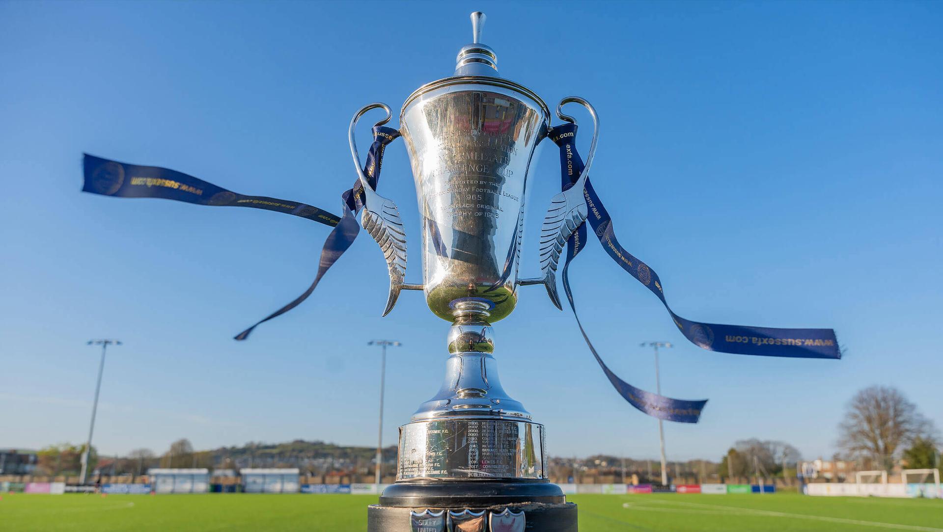 Sussex Intermediate Challenge Cup Final - Hailsham Town v Westfield