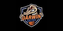 DARWIN SALTIES NWBL