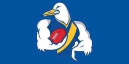 Williamstown Football Club
